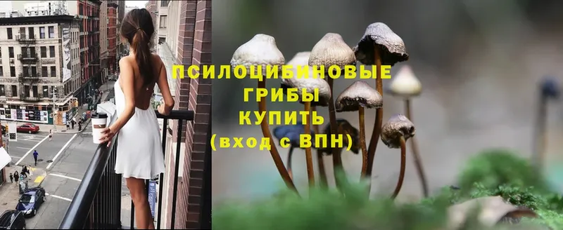 как найти закладки  Омск  Галлюциногенные грибы Psilocybine cubensis 